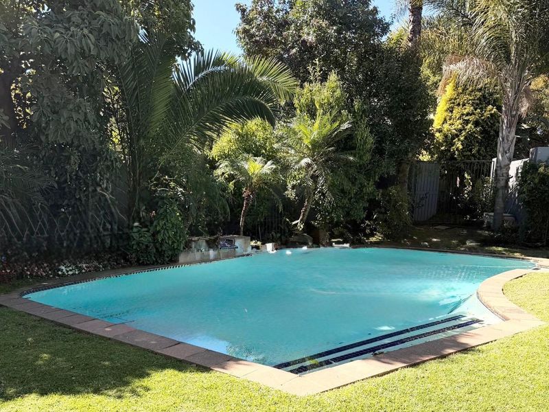 A well-maintained swimming pool set within a lush, established garden with mature trees and palm landscaping.