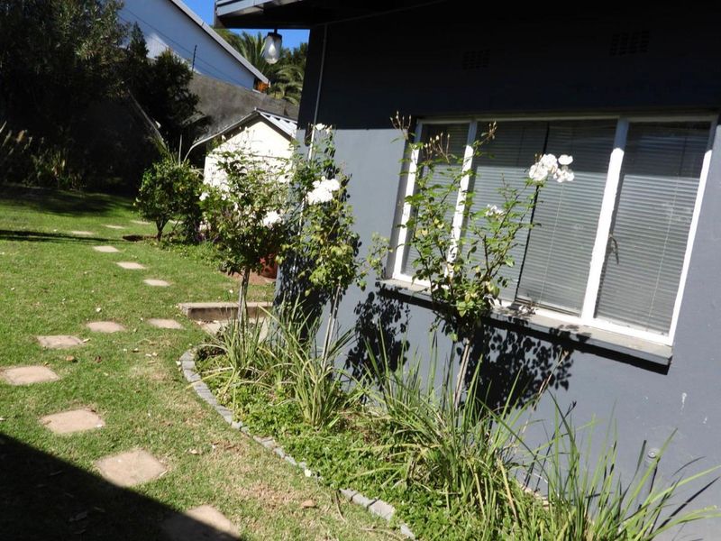 A view of the rear exterior of the house featuring a landscaped garden area with a paved walkway and established garden beds.