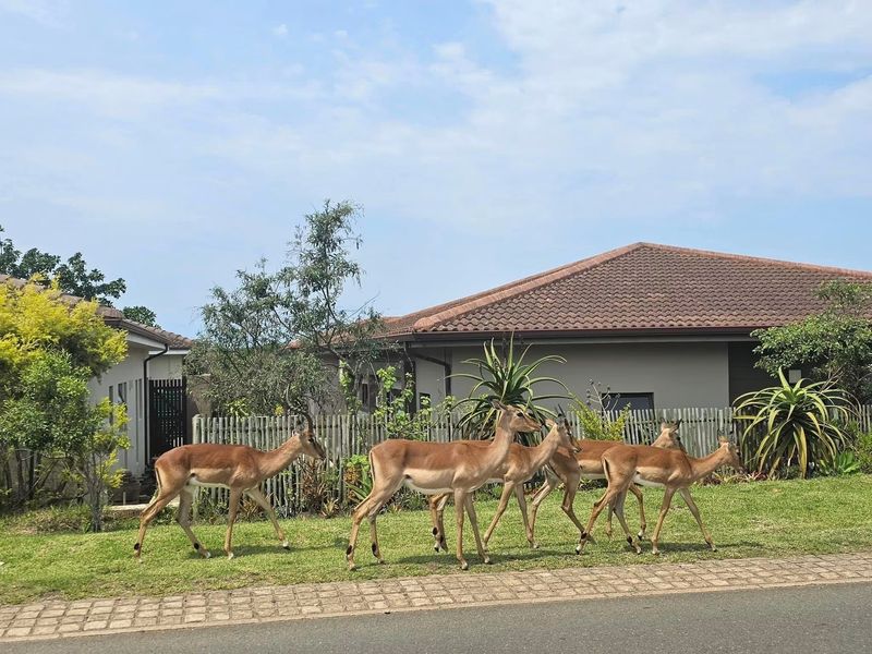House For Sale In Ballito - Photo 5