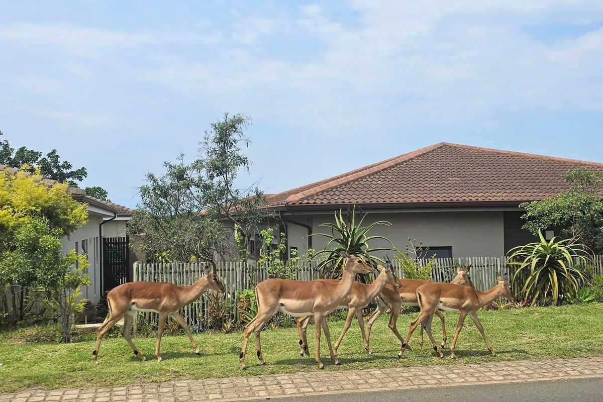 House For Sale In Ballito - Photo 5