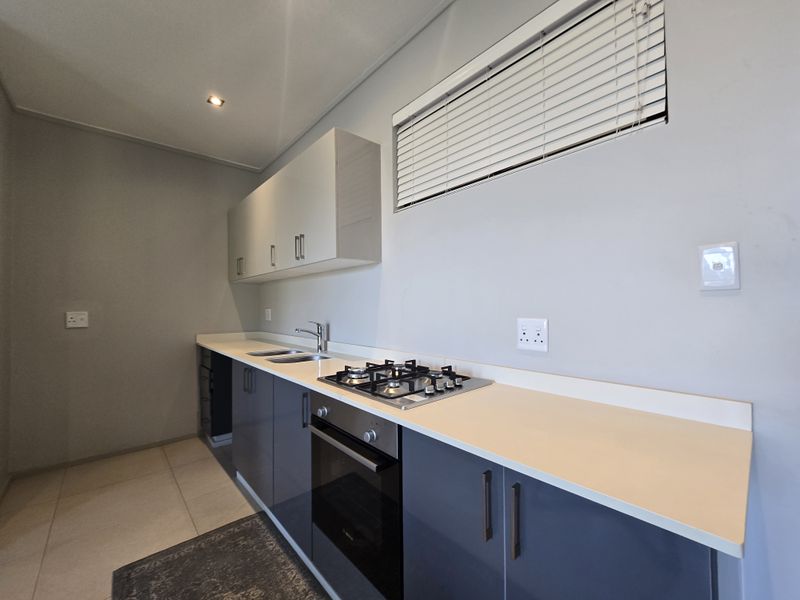 Modern kitchen featuring sleek grey cabinetry, a built-in oven, gas hob, and light-toned countertops with a stainless steel sink.