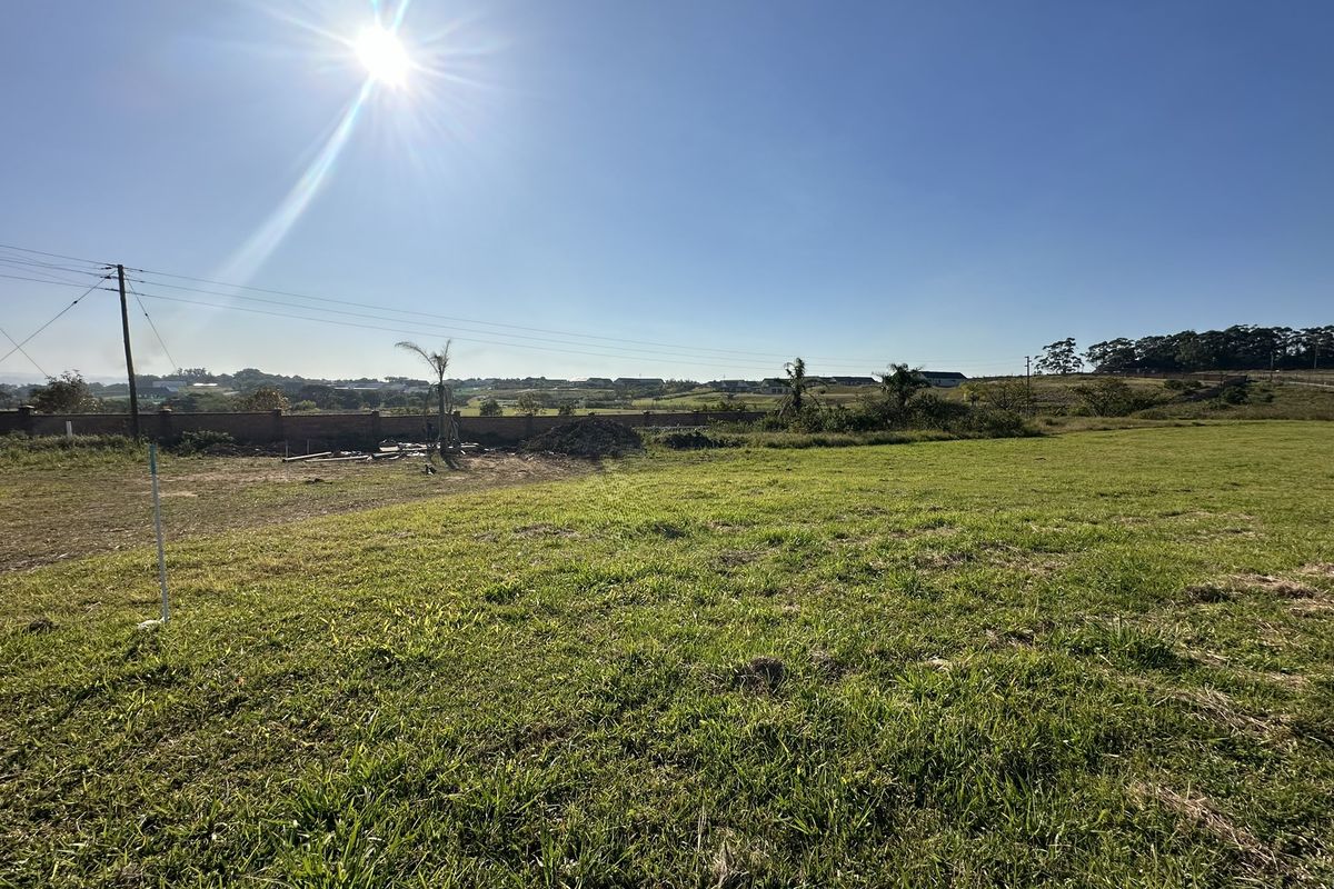 A wide-angle view of a vacant residential plot featuring grassy terrain, perimeter walling, and distant neighborhood views under a clear sky.