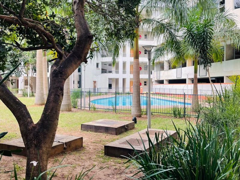 Communal outdoor area featuring a swimming pool, landscaped garden with mature trees, and paved pathways within an apartment complex.