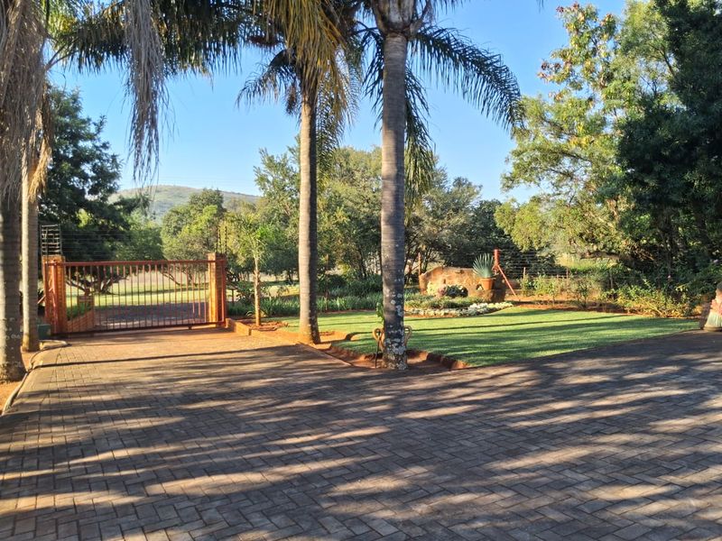 A well-maintained front entrance area featuring a paved driveway, metal gate, electric fencing, and mature palm trees set within a landscaped garden.