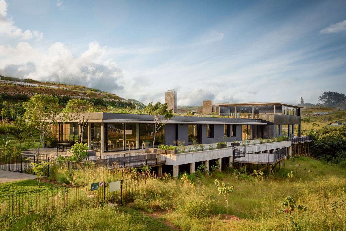 A modern architectural residence featuring a green roof, expansive timber decking, and large glass sliding doors, elevated on concrete stilts within a natural landscape.