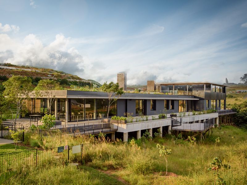 A modern architectural residence featuring a green roof, expansive timber decking, and large glass sliding doors, elevated on concrete stilts within a natural landscape.