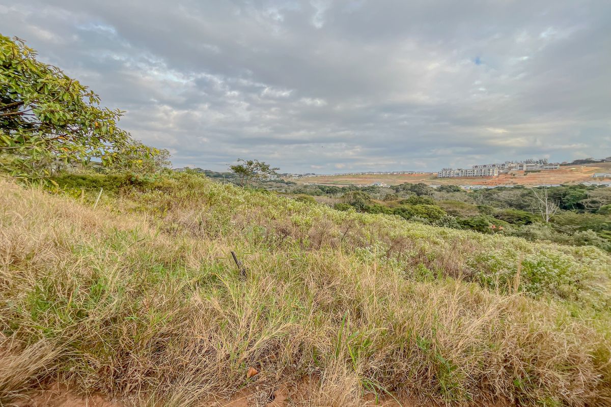 A wide-angle view of the vacant residential land, showcasing the natural landscape and surrounding estate development.