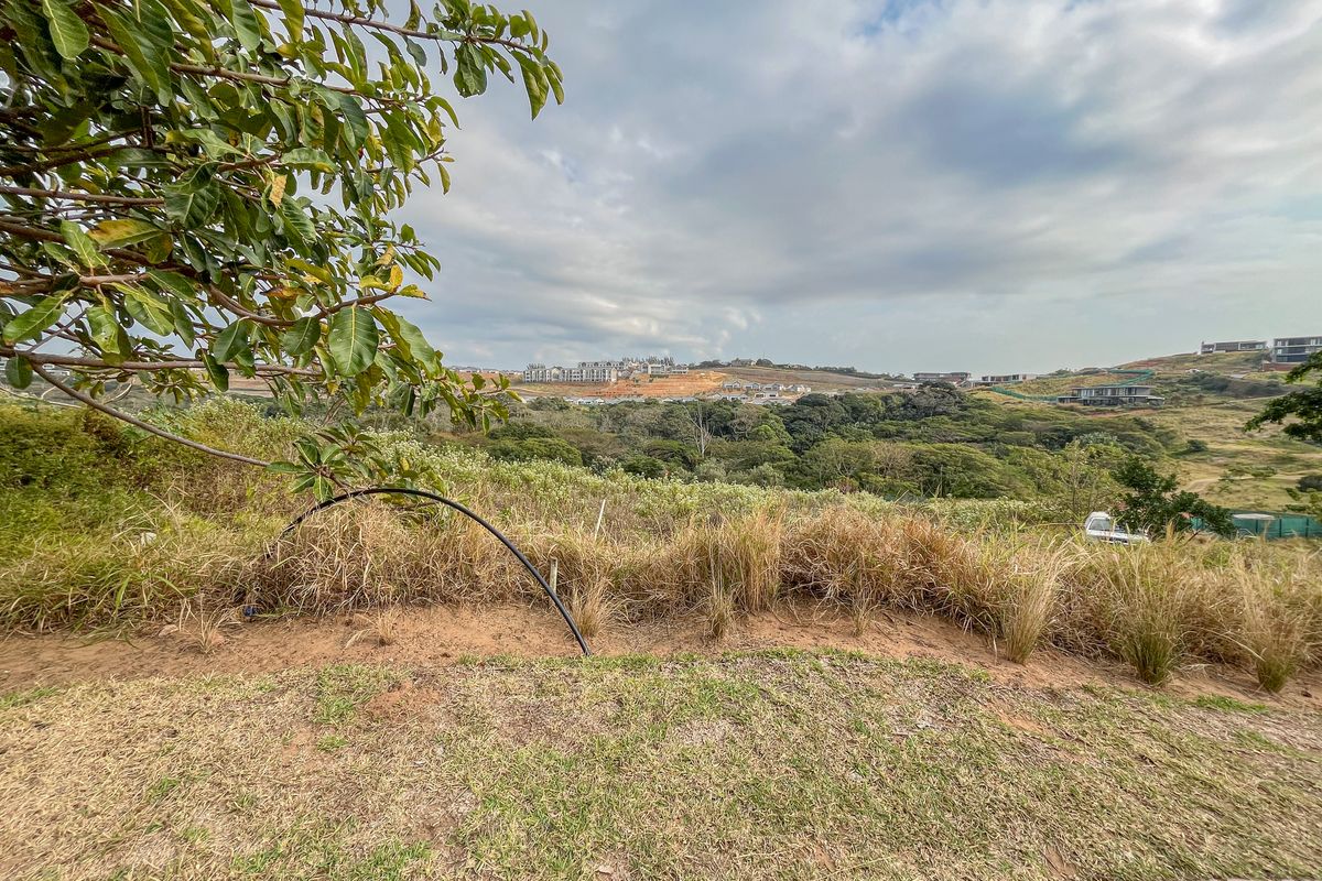 A wide-angle view of the surrounding landscape and natural vegetation from the vacant residential property.