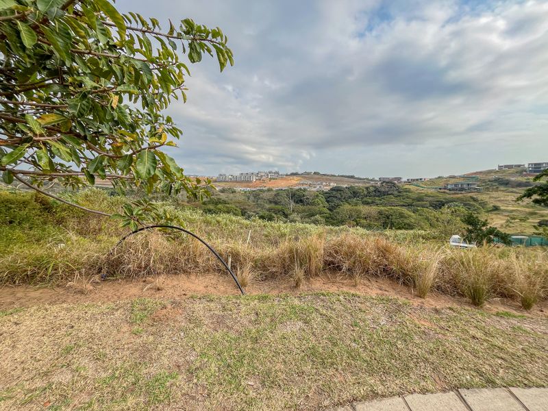 A wide-angle view of the surrounding landscape and natural vegetation from the vacant residential property.