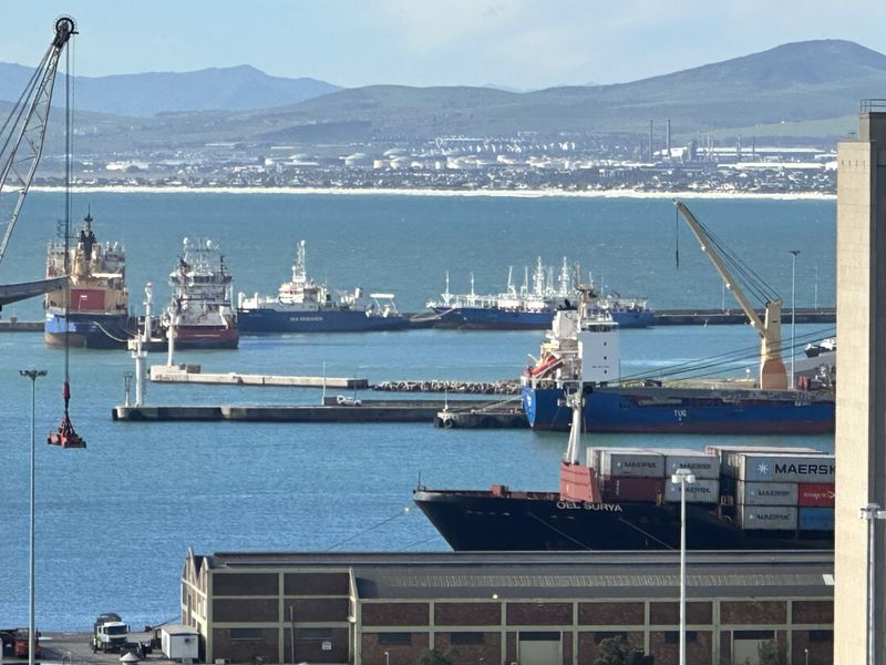 Elevated harbor view overlooking the shipping port, industrial docks, and distant coastal mountain range.