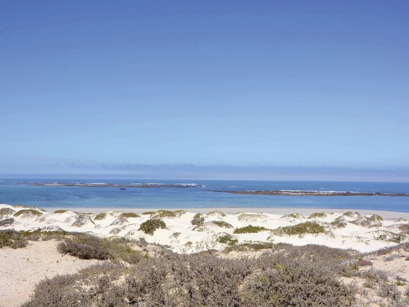 A scenic view of the coastal landscape featuring natural sand dunes and an expansive ocean horizon.