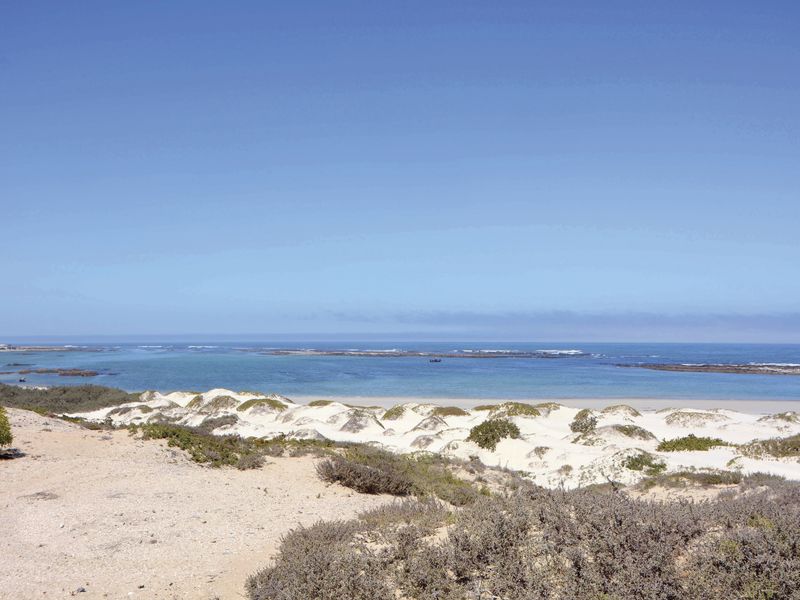A scenic view of the coastal landscape featuring natural sand dunes and direct ocean frontage.