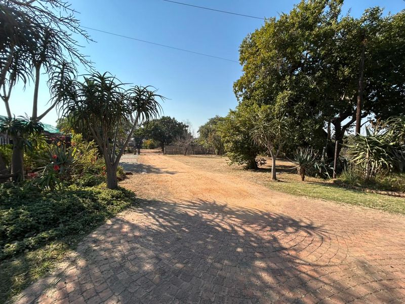 A wide driveway featuring a cobblestone entrance leading onto a dirt access road, surrounded by mature trees and established garden landscaping.