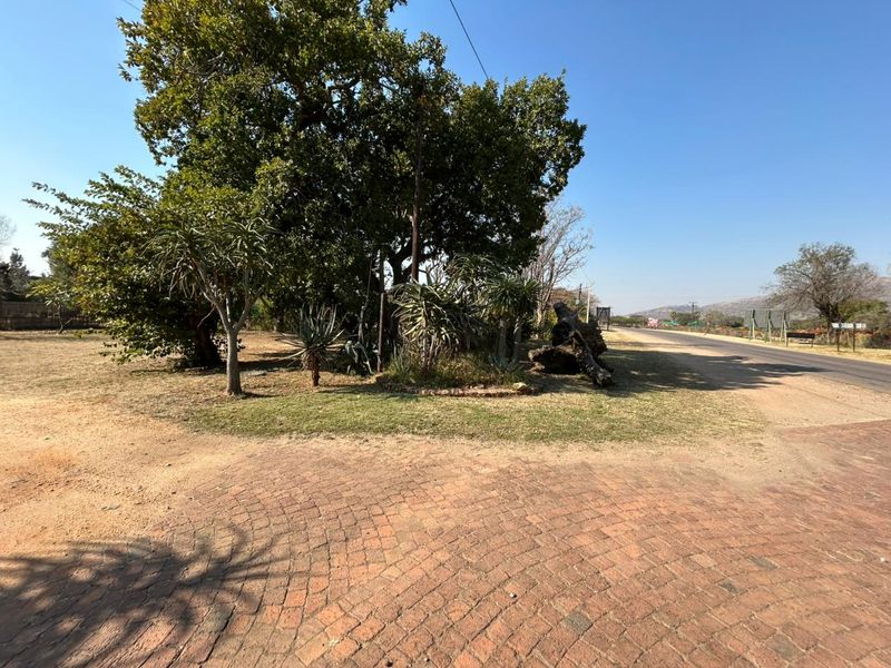 A view of the property entrance featuring a brick paved driveway, mature trees, and established garden landscaping adjacent to the main road.