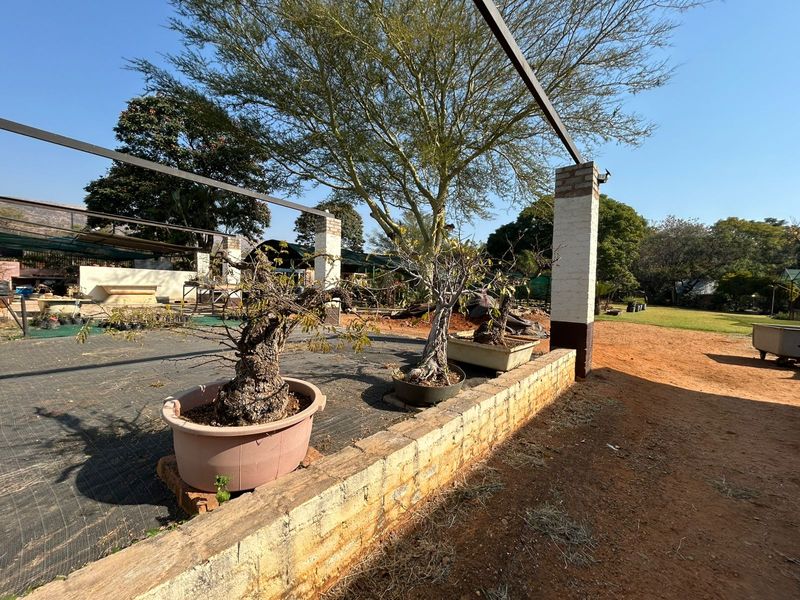 An outdoor garden area featuring a brick retaining wall and a steel pergola structure, set within a spacious farm property landscape.