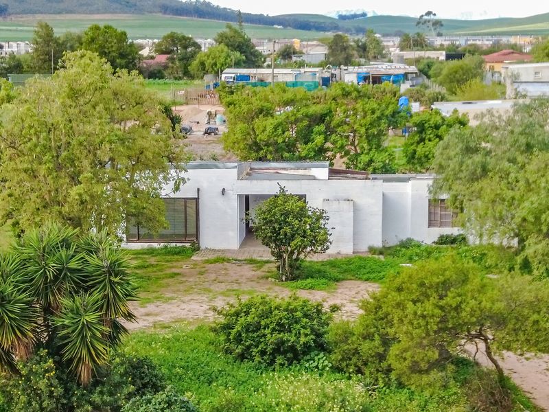Aerial view of a single-story detached house with a flat roof, set within a large, overgrown garden plot in a suburban area.