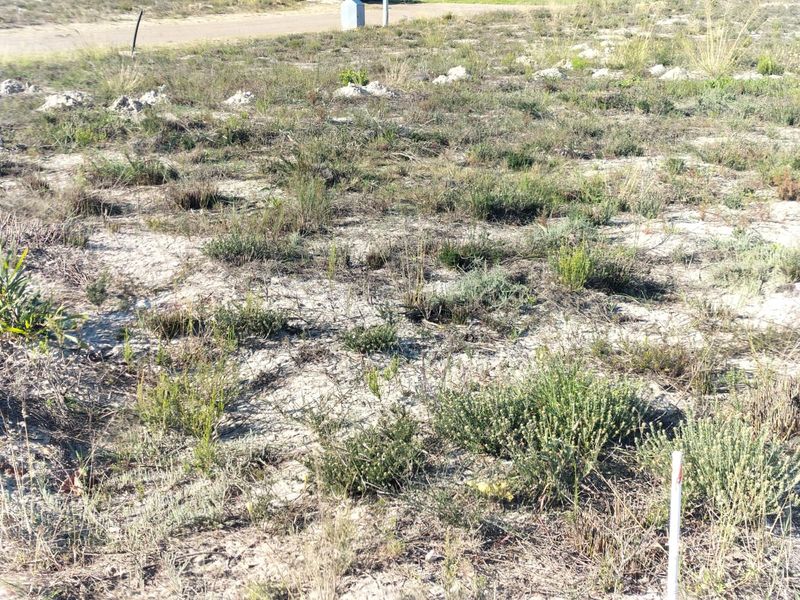 A vacant residential plot featuring natural vegetation and a visible utility connection point, ready for future development.