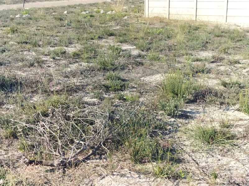 A view of a vacant residential plot featuring natural vegetation and a precast concrete boundary wall.