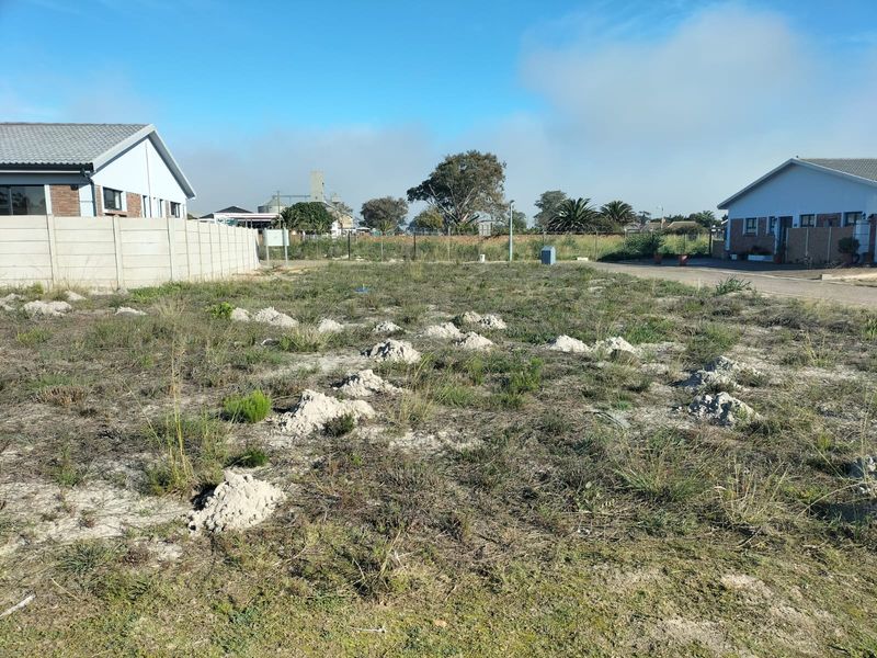 A vacant residential plot featuring natural ground cover and a precast concrete boundary wall, situated in a developed neighborhood.