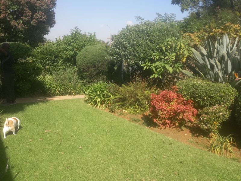 A well-maintained residential garden featuring a lush green lawn and established shrubbery and trees.