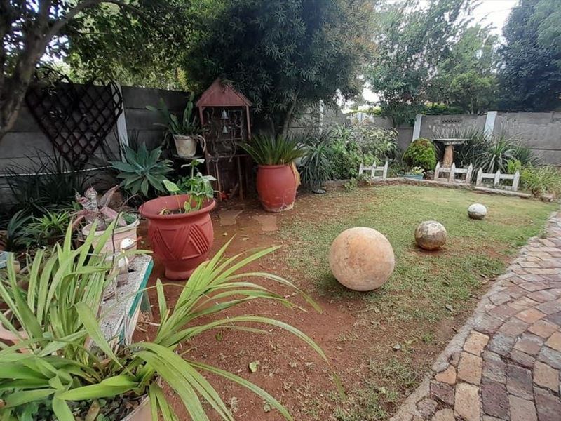 A private garden area featuring a paved driveway, mature trees, and a concrete block boundary wall, offering potential for landscaping improvements.