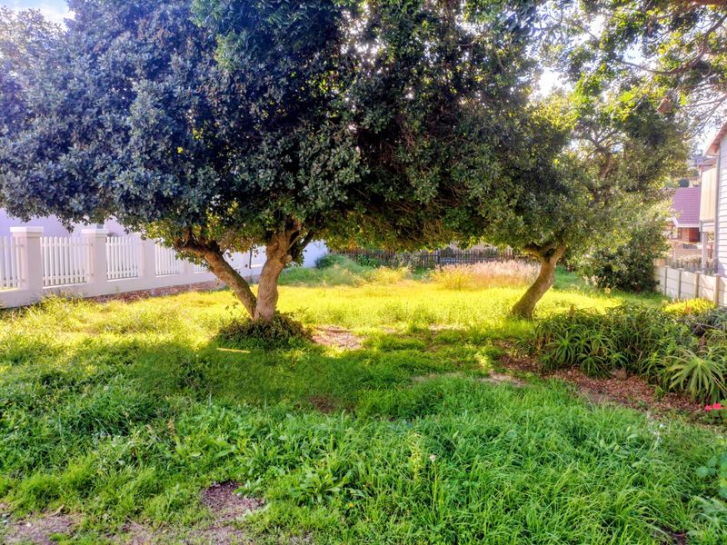 A vacant residential plot featuring mature trees, established greenery, and perimeter fencing, offering a blank canvas for future development.