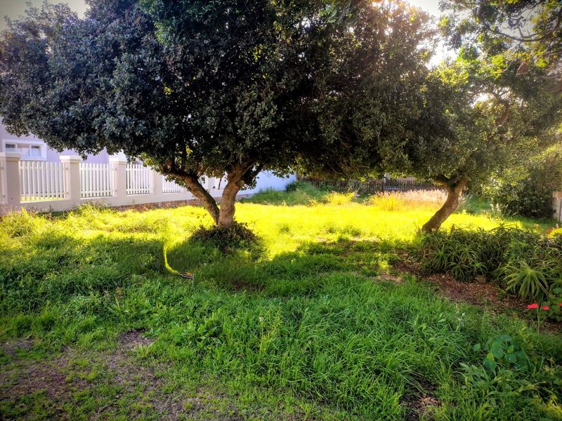 A residential garden area featuring mature trees, established greenery, and a white picket fence boundary.