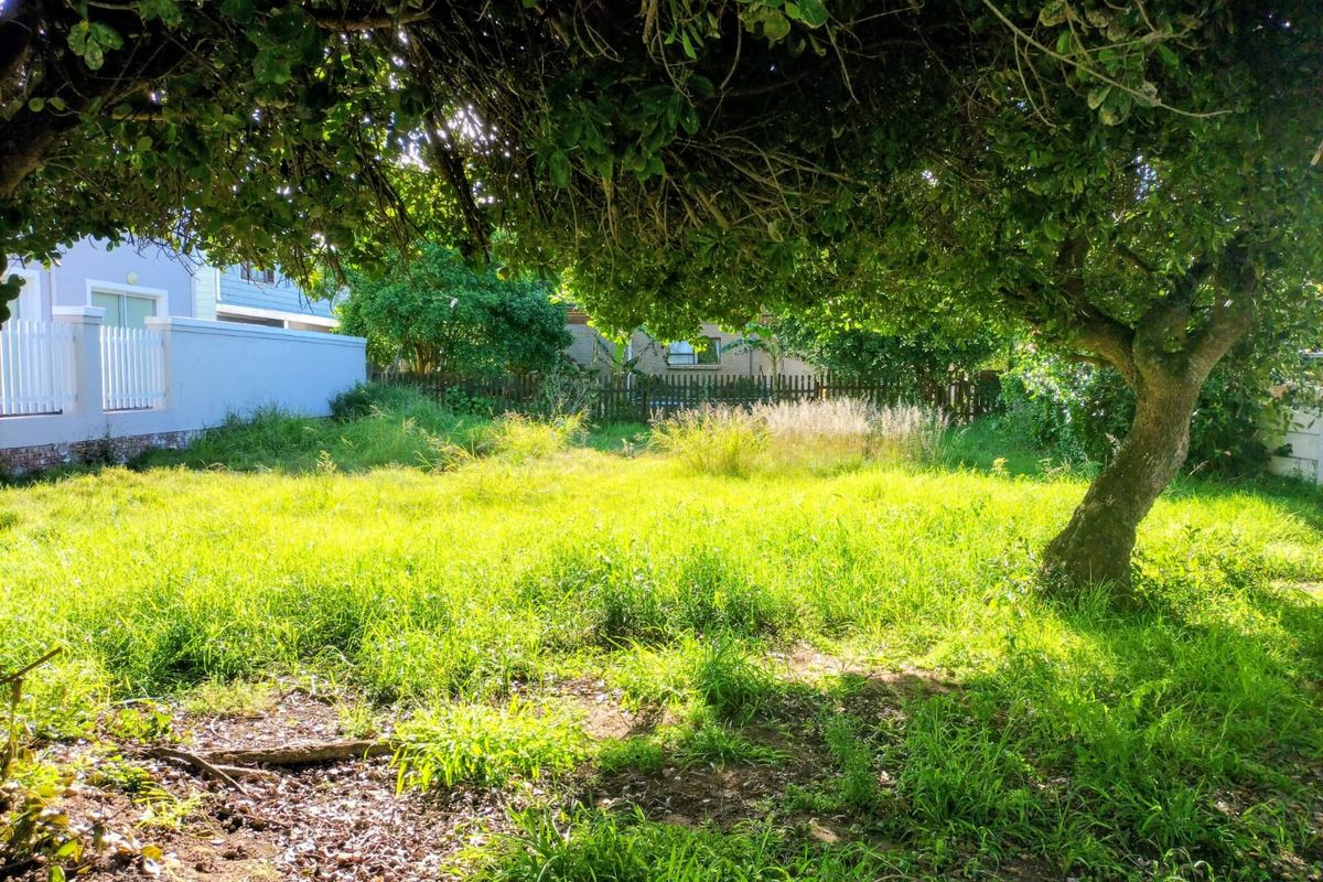 A vacant residential plot featuring mature trees, established grass, and perimeter fencing, offering a blank canvas for future development.