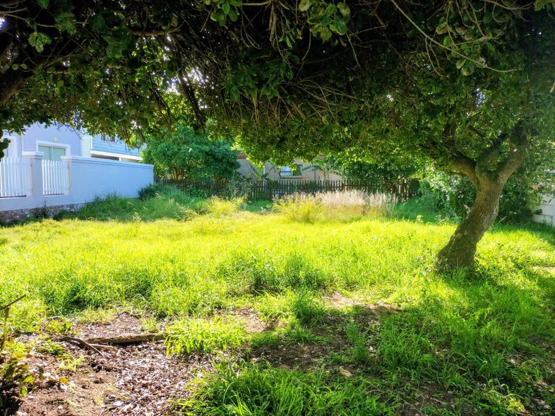 A vacant residential plot featuring mature trees, established grass, and perimeter fencing, offering a blank canvas for future development.