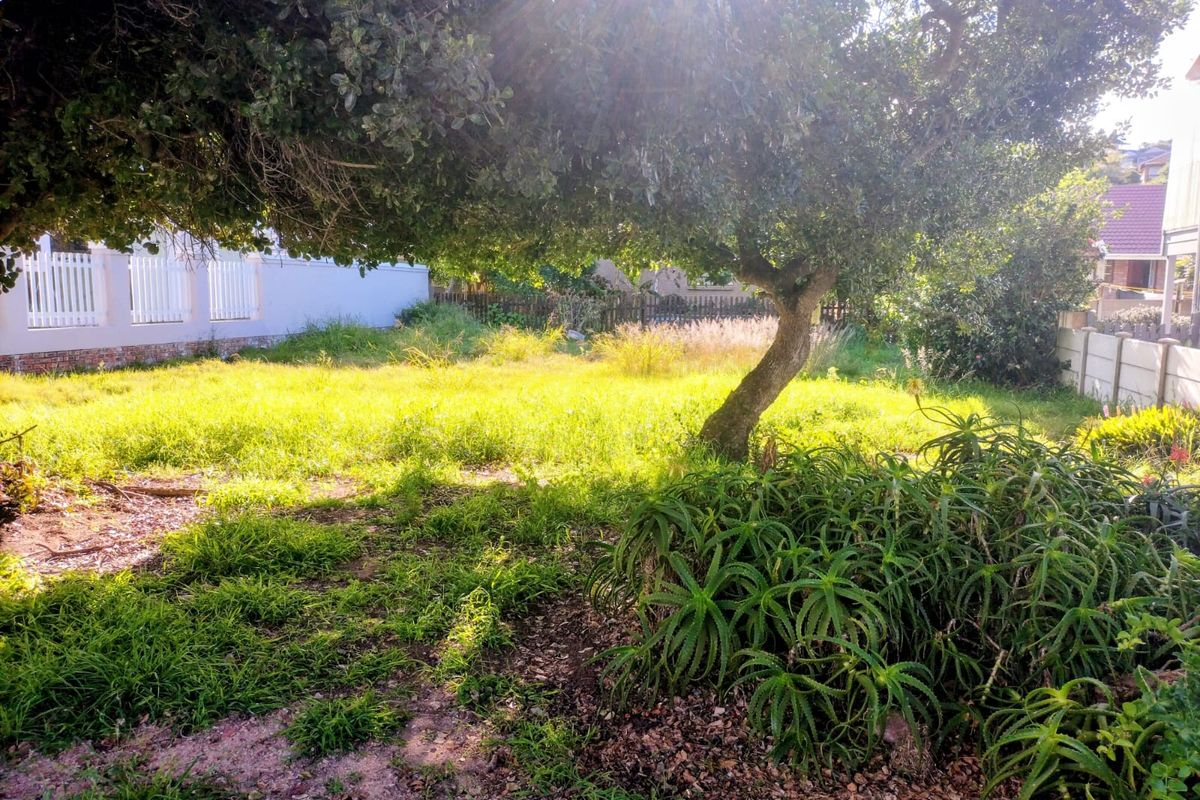 A view of the residential garden area featuring mature trees, established aloe plants, and perimeter fencing on the vacant land plot.