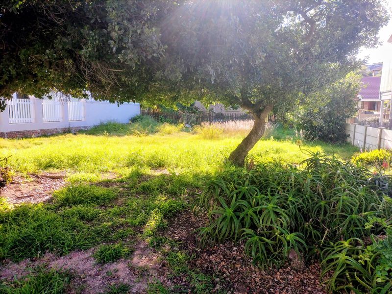 A view of the residential garden area featuring mature trees, established aloe plants, and perimeter fencing on the vacant land plot.
