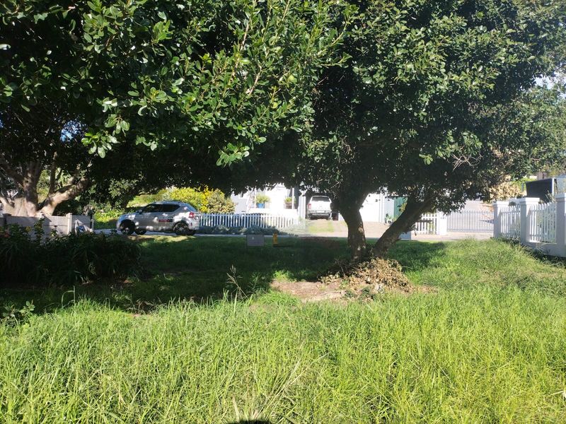 A view of a residential garden plot featuring mature trees and a white picket fence boundary.
