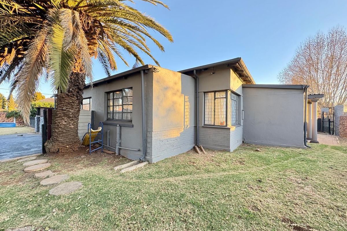 Rear exterior view of the property featuring painted brick walls, steel-framed windows, and established garden space with a large palm tree.