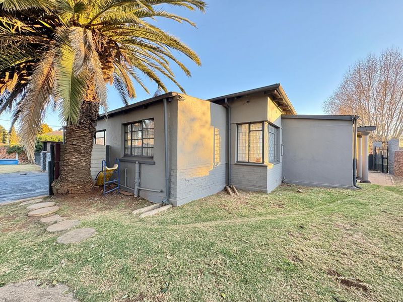 Rear exterior view of the property featuring painted brick walls, steel-framed windows, and established garden space with a large palm tree.