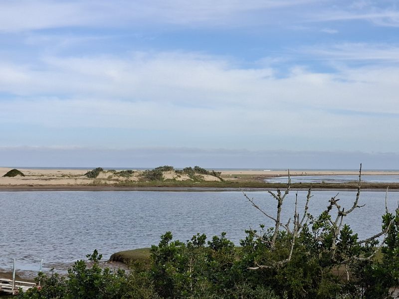 GAMTOOS RIVER MOUTH - PRIVATE CORNER PLOT - Photo 5