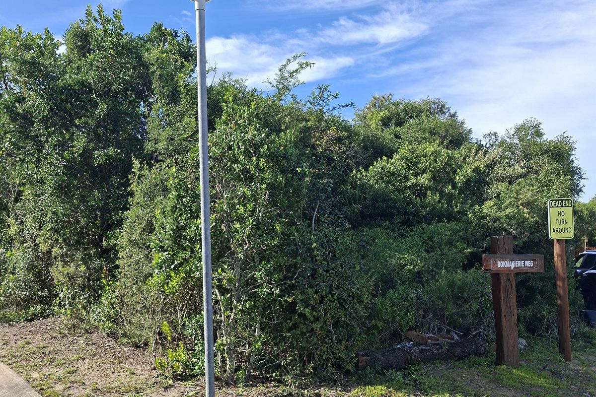 A street-level view of the residential property corner, featuring a street lamp, curb, and local signage.