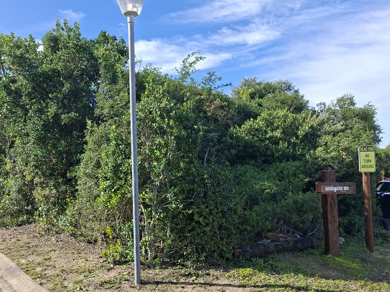 GAMTOOS RIVER MOUTH - PRIVATE CORNER PLOT - Photo 2