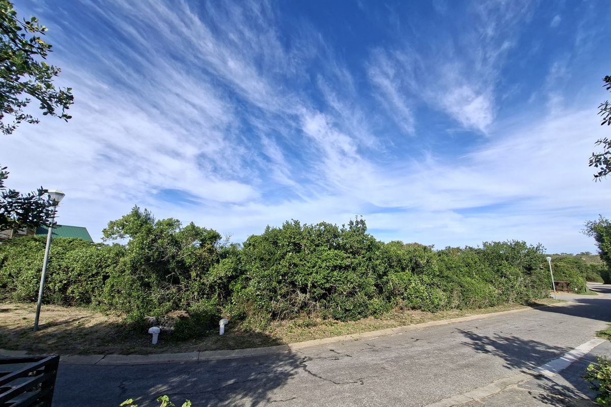 A view of a vacant residential plot featuring established vegetation, paved road access, and street lighting infrastructure.
