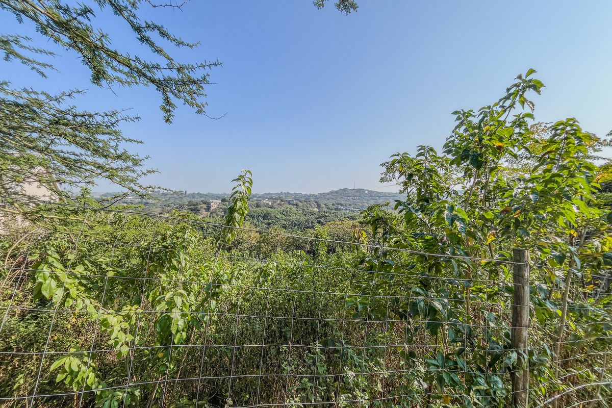 A scenic view overlooking a lush, hilly landscape, framed by natural vegetation and secured by a wire mesh fence.