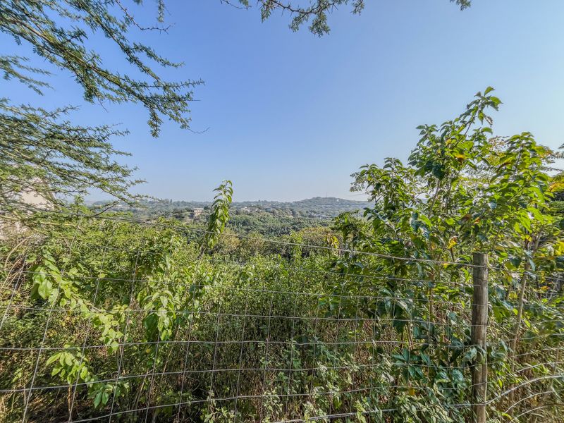 A scenic view overlooking a lush, hilly landscape, framed by natural vegetation and secured by a wire mesh fence.