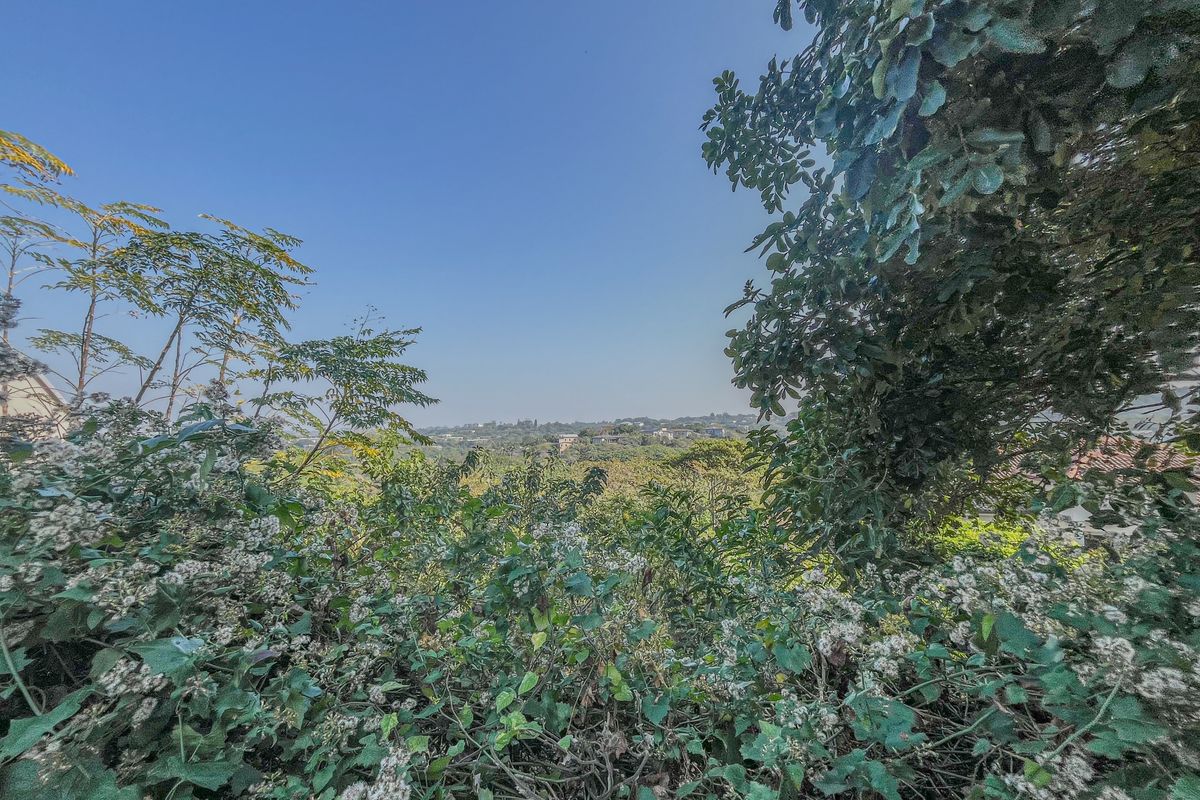 A scenic view overlooking a lush, green landscape with distant residential structures under a clear blue sky.