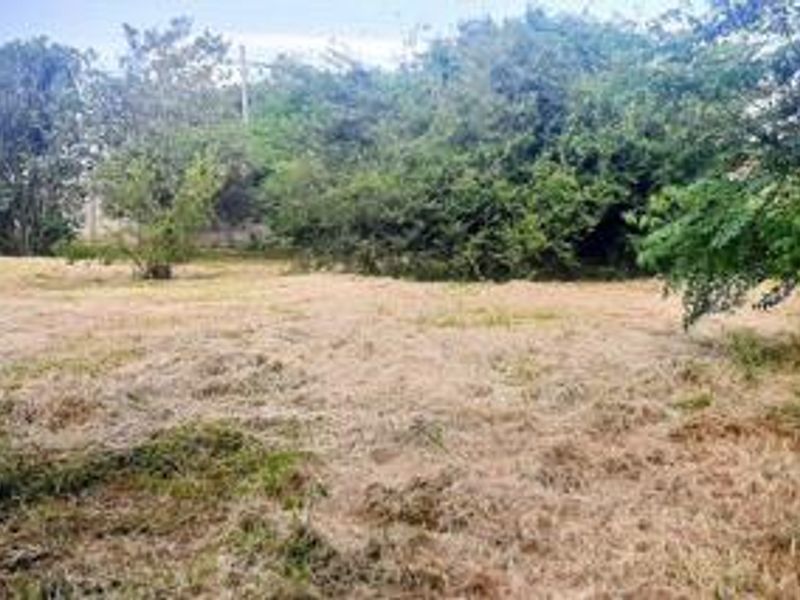 A RARE Bredell OPPORTUNITY: 15,295m2 OF LIFESTYLE, INCOME & DEVELOPMENT POTENTIAL - Photo 8