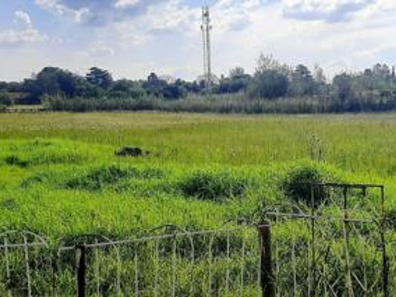 A RARE Bredell OPPORTUNITY: 15,295m2 OF LIFESTYLE, INCOME & DEVELOPMENT POTENTIAL - Photo 2