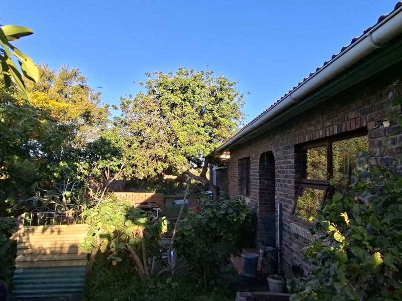 A view of the rear face brick facade of the house, featuring established garden greenery and standard window fixtures.