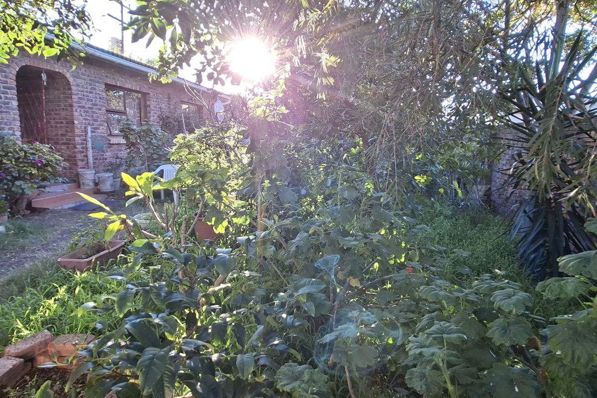 A view of the rear exterior of the house featuring face brick construction and an arched entrance, surrounded by an overgrown garden area.