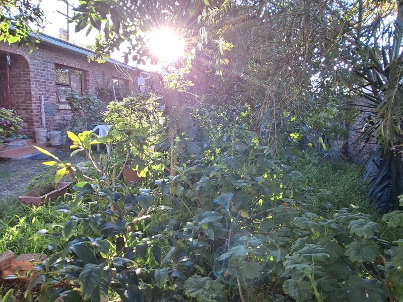 A view of the rear exterior of the house featuring face brick construction and an arched entrance, surrounded by an overgrown garden area.