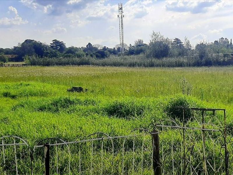 SMALL HOLING- POMONA KEMPTON PARK FOR SALE - Photo 10
