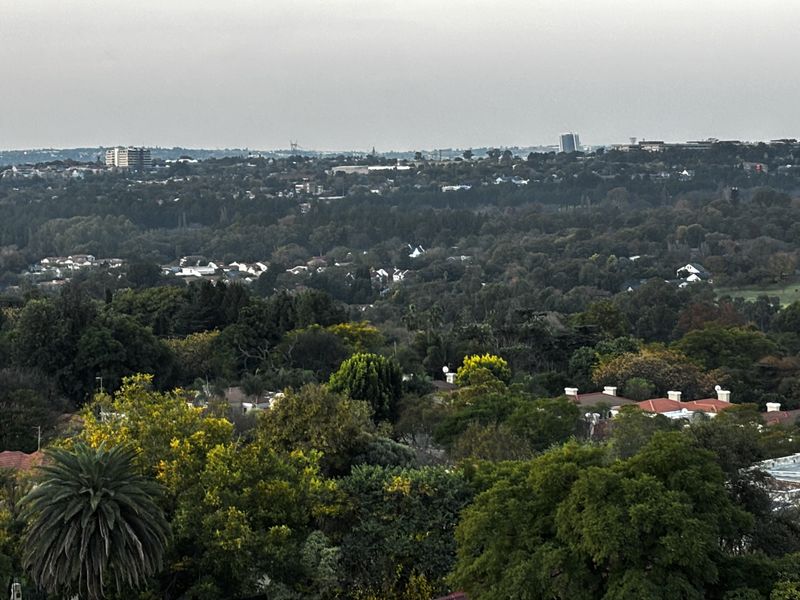 An elevated panoramic view overlooking a lush, tree-filled suburban landscape and distant city skyline.