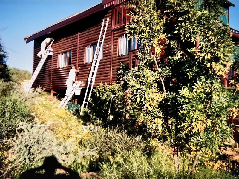 Rear view of a timber log cabin home featuring dark wood cladding and metal roofing, surrounded by established garden foliage.