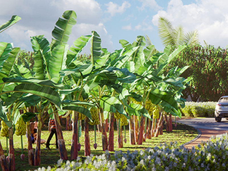 The Orchards -Freehold sites - Photo 1
